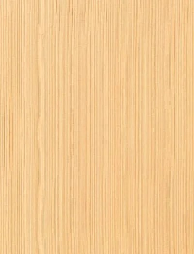 南海プライウッド　新ふじ